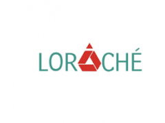 Engineering Executive-Lorache Consulting Limited