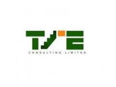 TIE Consulting Limited