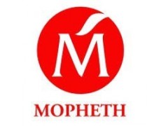 Internal Auditor-Mopheth Nigeria Limited
