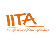 Logo The International Institute Of Tropical Agriculture (IITA)