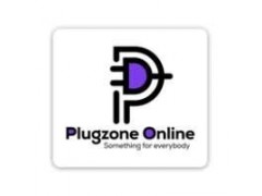 Admin / Business Control Officer - PlugZone Onine