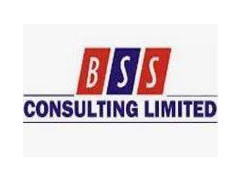 Logo BSS Consulting Limited