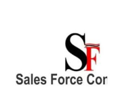 Logo Sales Force Consulting