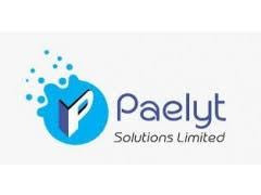 Logo Paelyt Solutions Limited