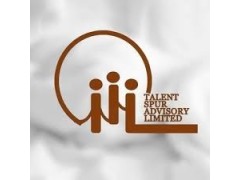 Logo Talent Spur Advisory Limited