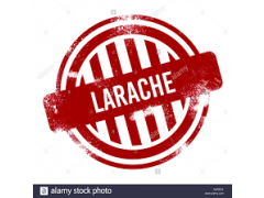 Sales Officer At Larache Group