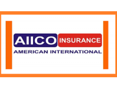 Sales Representative - American International Insurance Company (AIICO)
