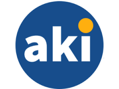 Senior Web Developer - AKI Solutions