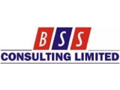 Site Safety Officer At BSS Consulting Limited