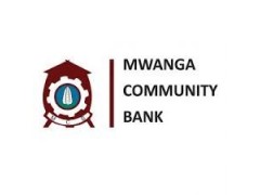Debt Recovery Representative At Mwanga Limited