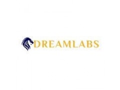 DreamLabs Nigeria Limited