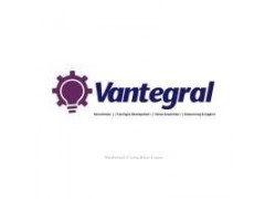 Vantegral Consulting