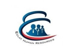 Accountant-Eclat Human Resources Consulting Limited