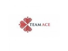 Sales Representative-TeamAce Limited