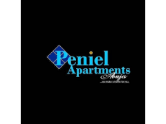 Deputy Chief Security Officer-Peniel Apartments Limited