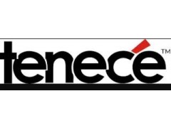 Logo Tenece Professional Services Limited