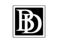 Logo Black Diamond Engineering Limited