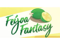 Logo Feijoa Investment Limited