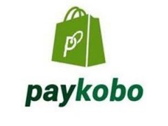 Accountant - Paykobo