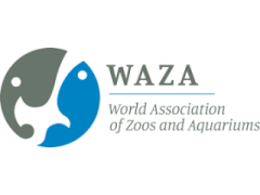 Logo Waza