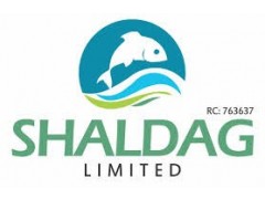 Senior Accounts Officer - Shaldag Limited