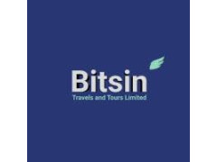 Logo Bitsin Travels And Tours Limited