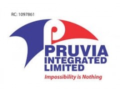 Sales Executive At Pruvia Integrated Limited Lagos
