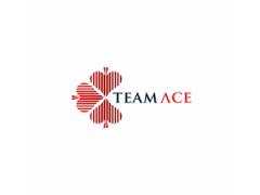 Logo TeamAce Limited