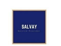 Logo Salvay Services Consulting Limited