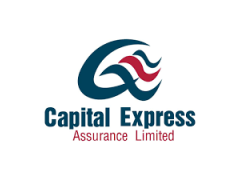 Desk Officer - Capital Express Assurance