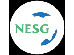 Nigerian Economic Summit Group (NESG)