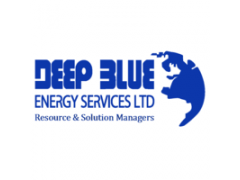 Senior Storekeeper At Deep Blue Energy Services Limited Lagos