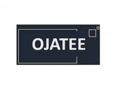 Operations Executive - Ojatee Consulting