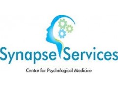 Art and Music Instructor - Synapse Services