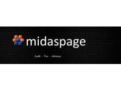 Tax and Financial Auditor-Midaspage and Company