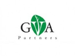 IT Project Manager-Growth in Value Alliance (GV Alliance) Partners