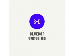 BlueDot Consulting