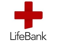 Customer Service Agent - LifeBank