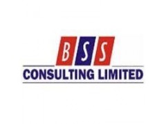 Business Developer / Marketer-BSS Consulting Limited