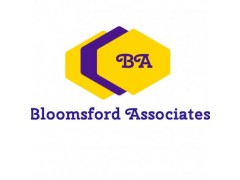 Logo BloomsFord Associates