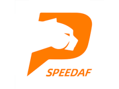 Data Entry Officer-Speedaf