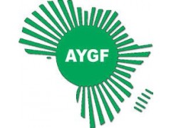 Logo Africa Youth Growth Foundation (AYGF)