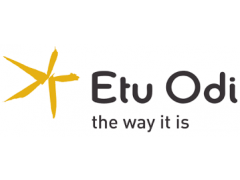 Deputy Strategy Manager- Etu Odi Communications