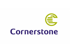 Team Manager at Cornerstone Insurance Plc