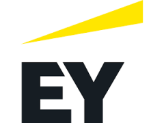 Business Development Executive - Senior Manager, Oil and Gas Sector-Ernst & Young (EY)