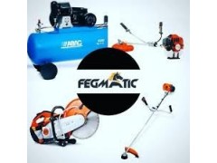 Fegmatic Associates Limited (FAL)