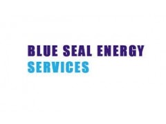 Blue Seal Energy Group