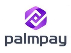 AntiFraud Officer - PalmPay Limited