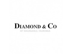Personal Assistant - Diamond&Co