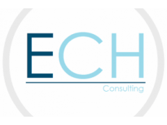 Digital Marketer - ECH Consulting